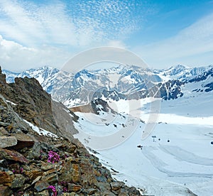 Alp flowers and ski lift