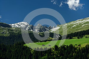 Alp Nagens, Graubunden, Switzerland photo