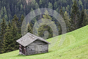 Alp wood shed on a slope