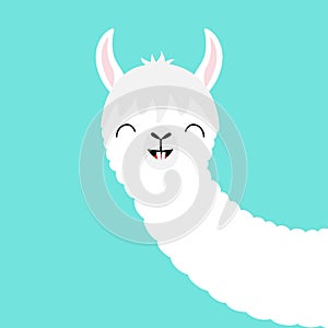 Alpaca llama animal face. Cute cartoon kawaii smiling character. Funny teeth. T-shirt, greeting card, poster print. Childish baby photo