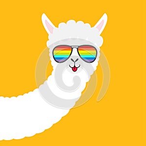 Alpaca llama animal face in rainbow glassess. Cute cartoon funny kawaii character. Fluffy hair fur. T-shirt, greeting card, poster