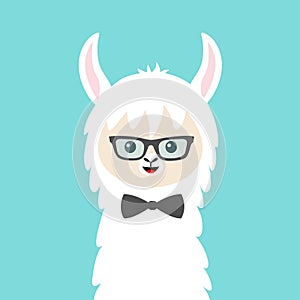 Alpaca llama animal face in sun glasses and bow. Cute cartoon kawaii smiling funny character. T-shirt, greeting card, poster print