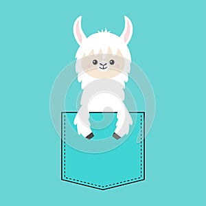 Alpaca llama face and hand in the pocket. T-shirt design. Cute cartoon funny character. Kawaii animal. Love Greeting card. Flat