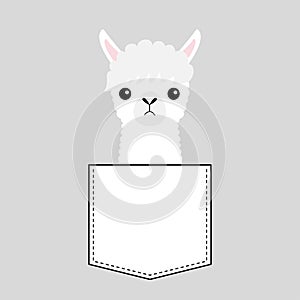 Alpaca llama face head in the pocket. Cute cartoon animals. Kawaii character. Dash line. White and black color. T-shirt design.