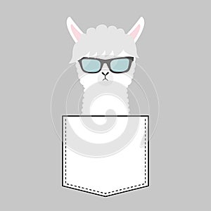 Alpaca llama face head in the pocket. Sun glasses. Cute cartoon animals. Kawaii character. Dash line. White and black color. T-