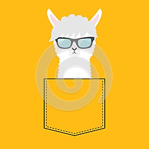 Alpaca llama face head in the pocket. Sun glasses. Cute cartoon animals. Kawaii character. Dash line. White and black color. T-