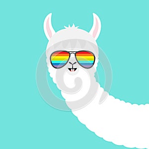 Alpaca llama face in rainbow glassess. Cute cartoon funny kawaii character. Fluffy hair fur. T-shirt, greeting card, poster print