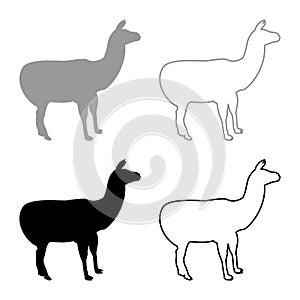 Alpaca Llama Lama Guanaco silhouette grey black color vector illustration solid outline style image