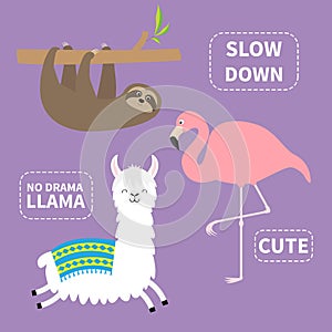 Alpaca, sloth, flamingo set. No drama llama. Slow down. Cute cartoon funny kawaii character. T-shirt, greeting card, poster