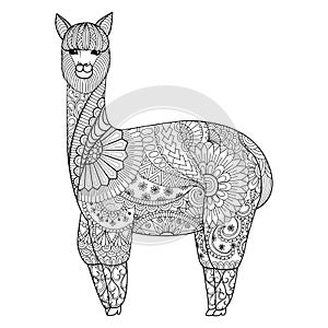 Alpaca zentangle design for coloring book for adult, logo, t shirt design and so on photo