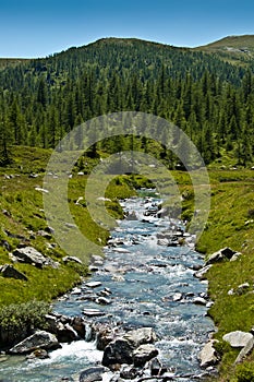 Alpe Devero, views of the river and forest photo