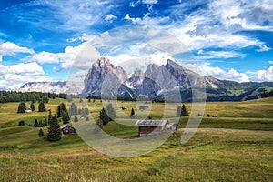 Alpe di siusi alpine meadows