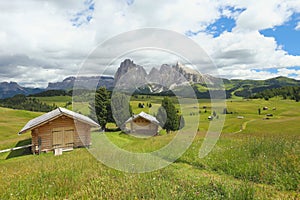 Alpe di Siusi, Dolomites