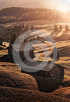 Alpe di Siusi, Italy - Traditional wooden cabins at Seiser Alm, an alpine meadow on a warm autumn sunrise at the Italian Dolomites