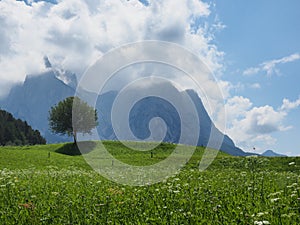 Alpe di Siusi - Seiser Alm