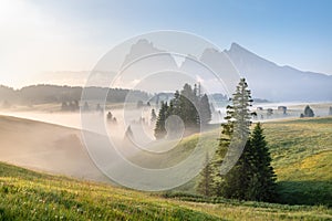 Alpe di Siusi or Seiser Alm, Dolomites Alps Sassolungo and Sassopiatto mountainsItaly