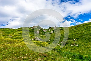 Alpe di Siusi, Seiser Alm with Sassolungo Langkofel Dolomite, a close up of a grassy hill