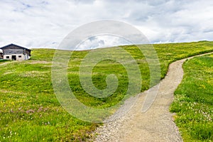 Alpe di Siusi, Seiser Alm with Sassolungo Langkofel Dolomite, a trekking walking winding path in a lush green field