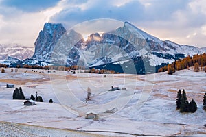 Alpe di Siusi or Seiser Alm with Sassolungo - Langkofel mountain group