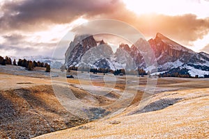 Alpe di Siusi or Seiser Alm with Sassolungo - Langkofel mountain group