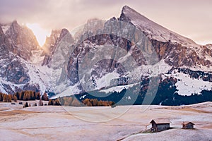 Alpe di Siusi or Seiser Alm with Sassolungo - Langkofel mountain group