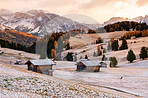 Alpe di Siusi or Seiser Alm with Sassolungo - Langkofel mountain group