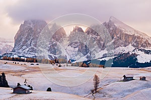 Alpe di Siusi or Seiser Alm with Sassolungo - Langkofel mountain group