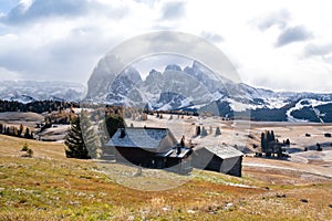 Alpe di Siusi or Seiser Alm with Sassolungo - Langkofel mountain group