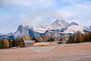 Alpe di Siusi or Seiser Alm with Sassolungo - Langkofel mountain group