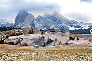 Alpe di Siusi or Seiser Alm with Sassolungo - Langkofel mountain group