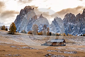 Alpe di Siusi or Seiser Alm with Sassolungo - Langkofel mountain group