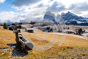 Alpe di Siusi or Seiser Alm with Sassolungo - Langkofel mountain group