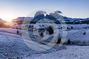 Alpe di Siusi or Seiser Alm with Sassolungo, Langkofel mountain group in background. Alpe di Siusi or Seiser Alm, Sassolungo and