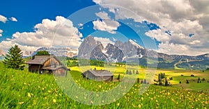 Alpe di Siusi - Seiser Alm with Sassolungo - Langkofel mountain group in background at sunset. Yellow spring flowers and wooden ch photo