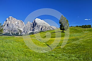 Alpe di siusi in South Tyrol, Italy