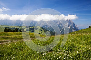 Alpe di siusi in South Tyrol, Italy