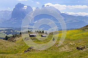 Alpe di siusi in South Tyrol, Italy