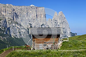 Alpe di siusi in South Tyrol, Italy
