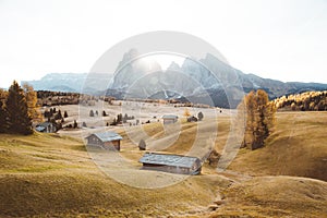 Alpe di Siusi at sunrise, Dolomites, South Tyrol, Italy