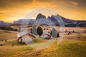 Alpe di Siusi at sunrise, Dolomites, South Tyrol, Italy