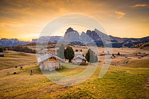 Alpe di Siusi at sunrise, Dolomites, South Tyrol, Italy