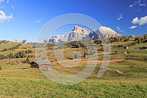 Alpe Siusi near Castelrotto in Italy