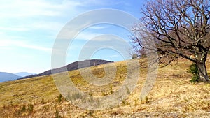 Alpe Vicania montane meadow in spring, Vico Morcote, Switzerland