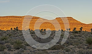 Alpenglow on Desert Ridges