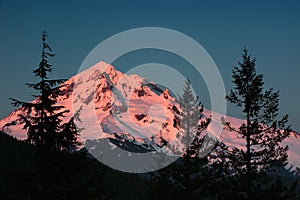 Alpenglow on Mt. Hood