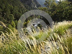 ALpes de Haute Provence; La vallee de la Blanche