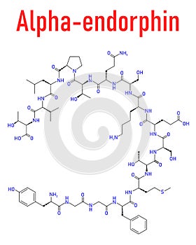 Alpha-endorphin endogenous opioid peptide molecule. Skeletal formula. photo