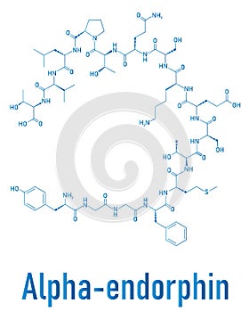 Alpha-endorphin endogenous opioid peptide molecule. Skeletal formula. photo