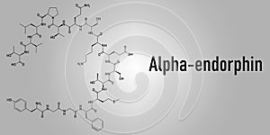 Alpha-endorphin endogenous opioid peptide molecule. Skeletal formula. photo