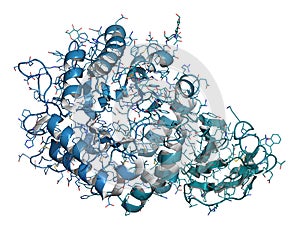 Alpha-galactosidase (Agalsidase) enzyme.